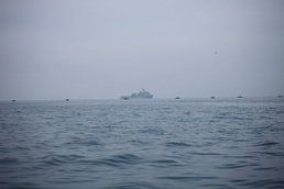 Marines strengthen amphibious capabilities during Exercise Dawn Blitz