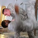 Judo-surfing soldier signals for waves in Iraq