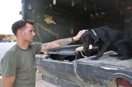 DLA Disposition Services helps Army unit keep explosive-detecting dogs in the fight