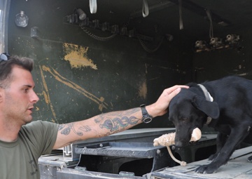 DLA Disposition Services helps Army unit keep explosive-detecting dogs in the fight