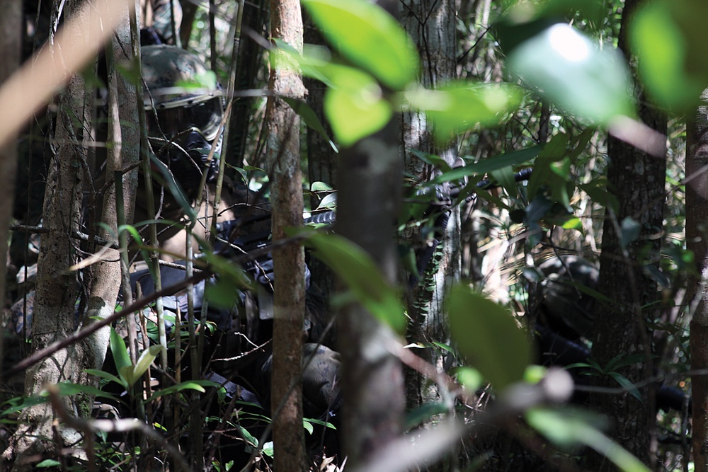 Camp Lejeune Marines traverse Okinawa jungle