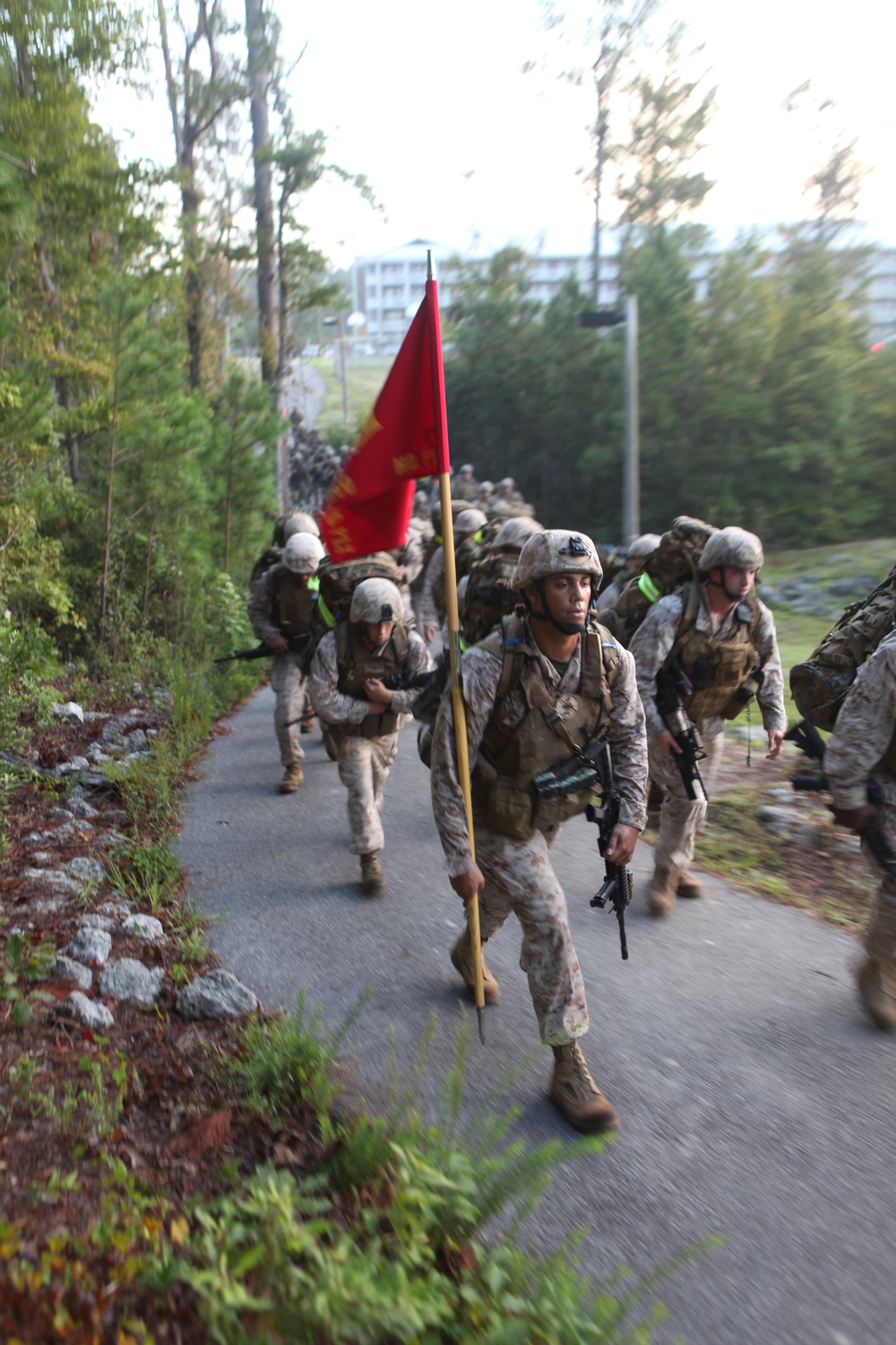 Nine 2nd ANGLICO Marines recognized for combat service