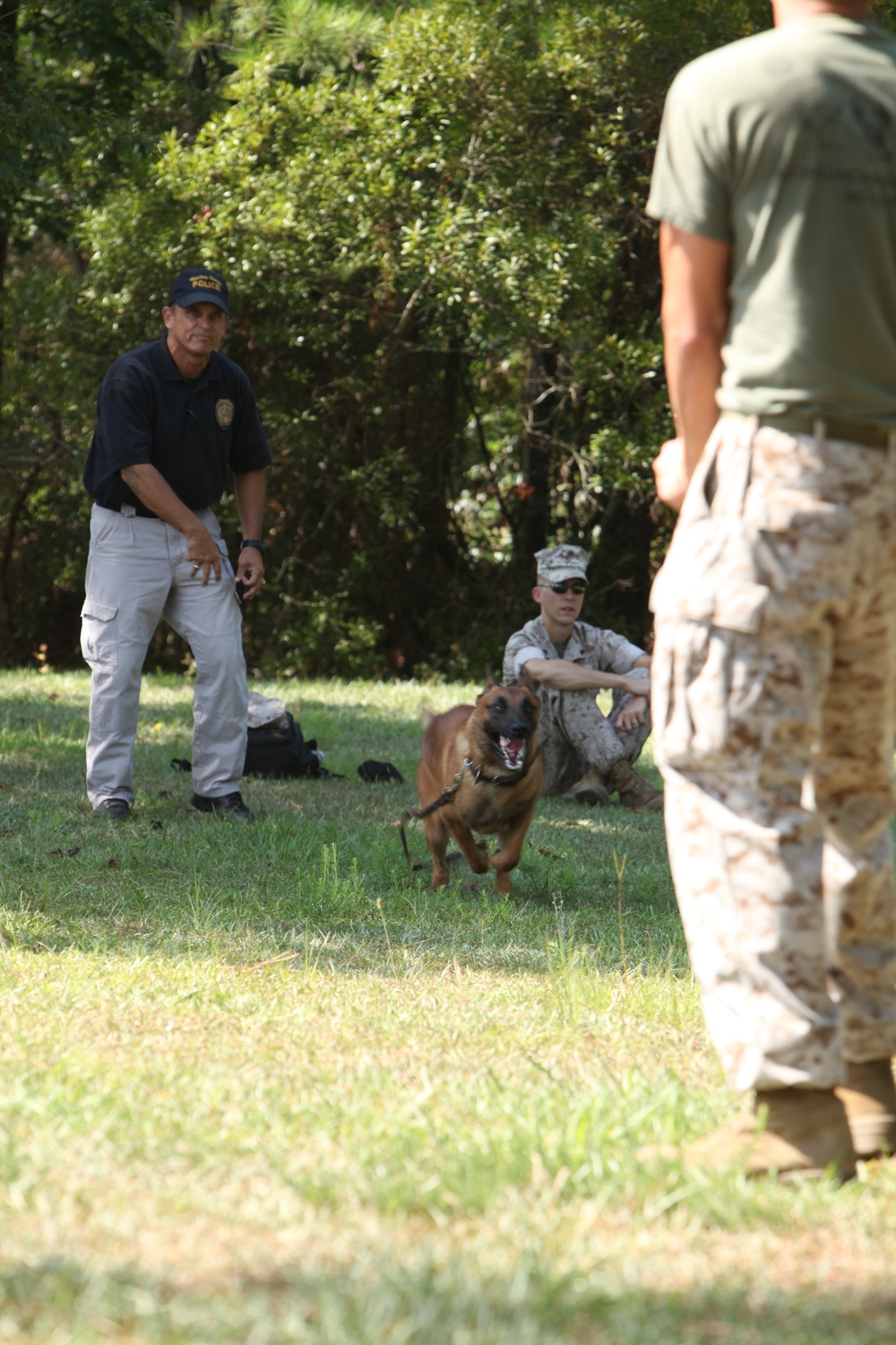 Cherry Point K-9 handlers keep dogs ready for war