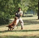 Cherry Point K-9 handlers keep dogs ready for war