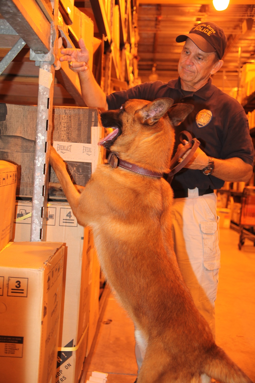Cherry Point K-9 handlers keep dogs ready for war