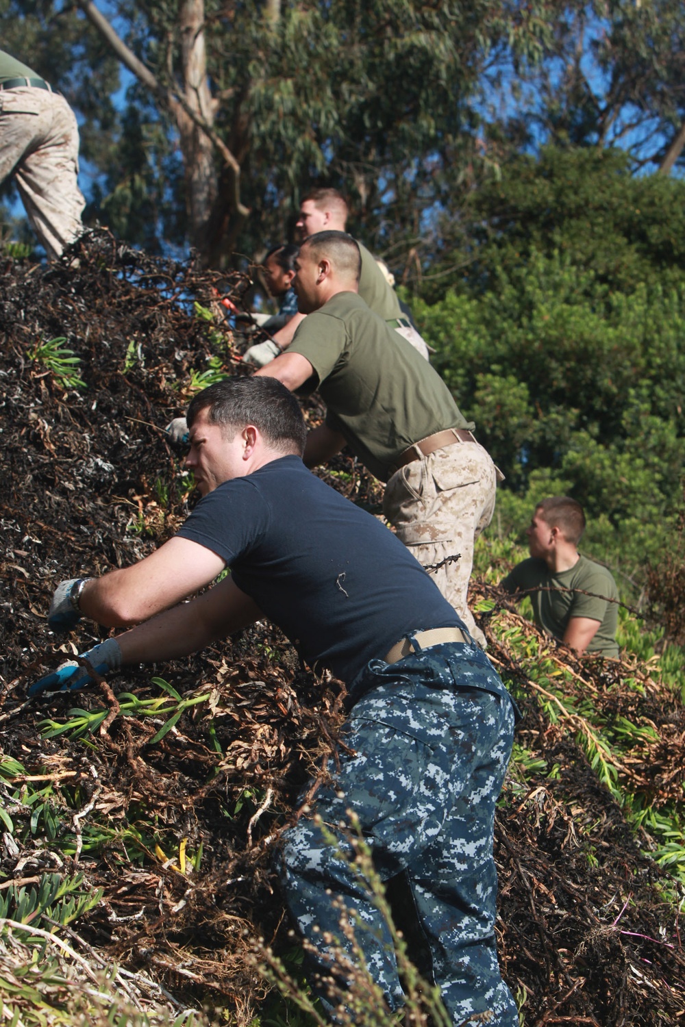 Marines, sailors restore natural habitats