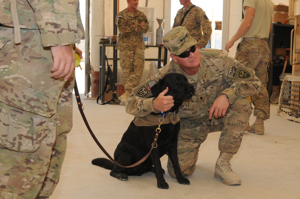 Therapy dog visits Spin Boldak