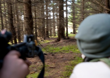 Looking for the enemy