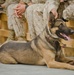 Elite dog handler honored at Camp Leatherneck