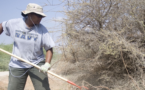 Clearing the way for big cats
