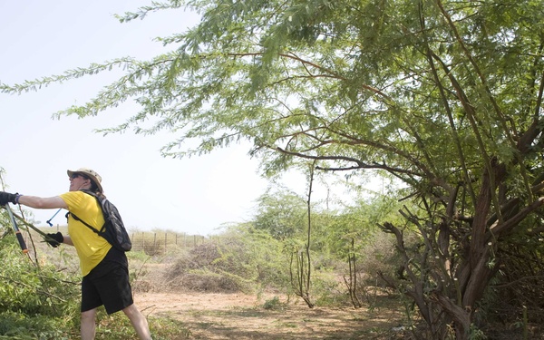 Clearing the way for big cats