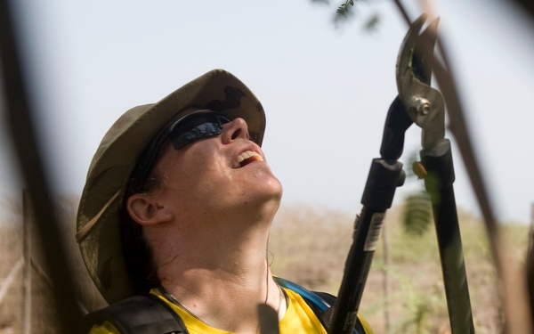 Clearing the way for big cats