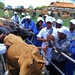 Tanzania, US come together for animal education