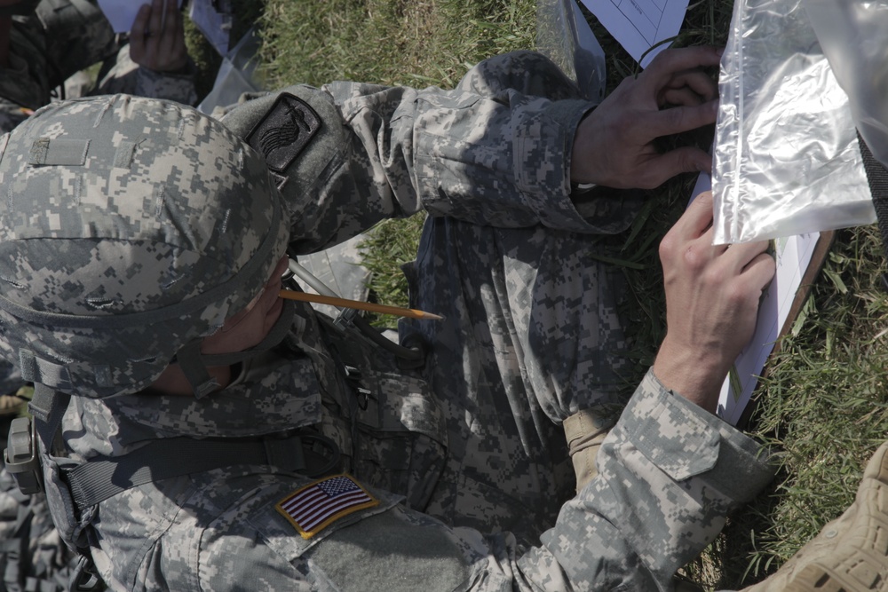 Department of the Army Best Warrior