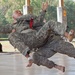 Department of the Army Best Warrior Competition 2011