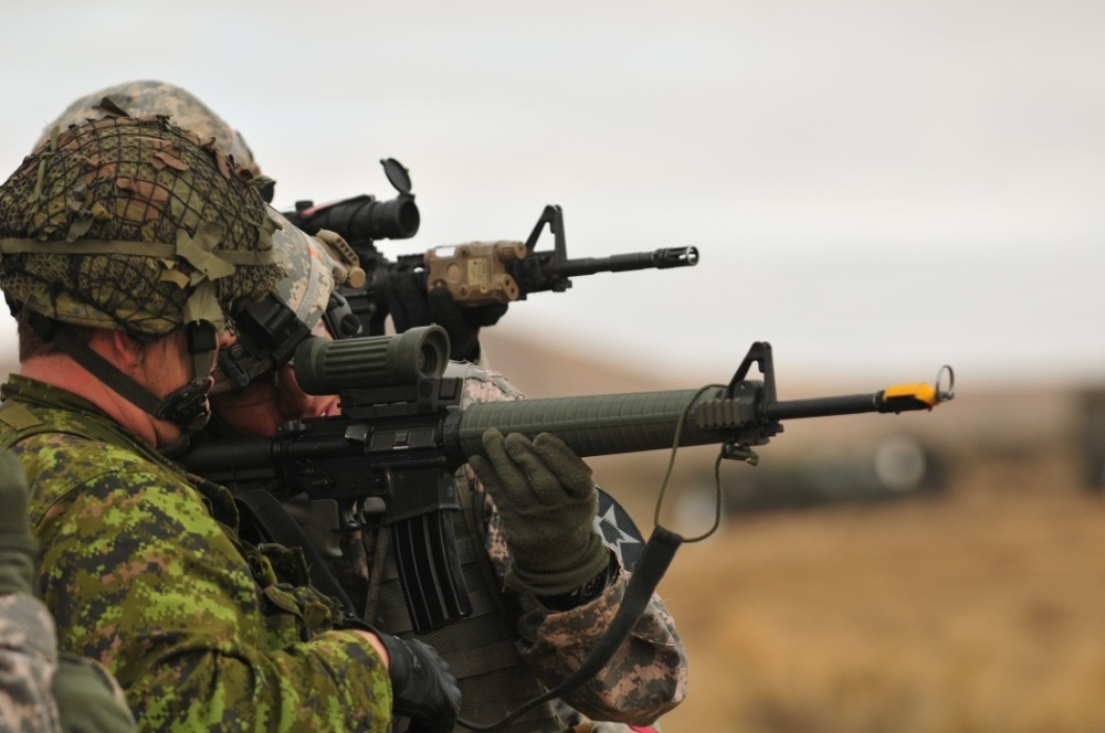 U.S.-Canadian artillery partner at YTC