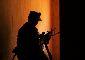 Vertical assault course