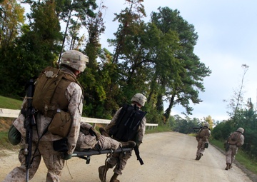 Vertical assault course