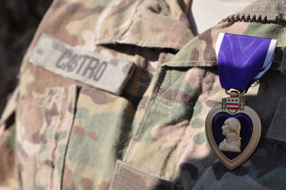 Nashville soldier receives Purple Heart