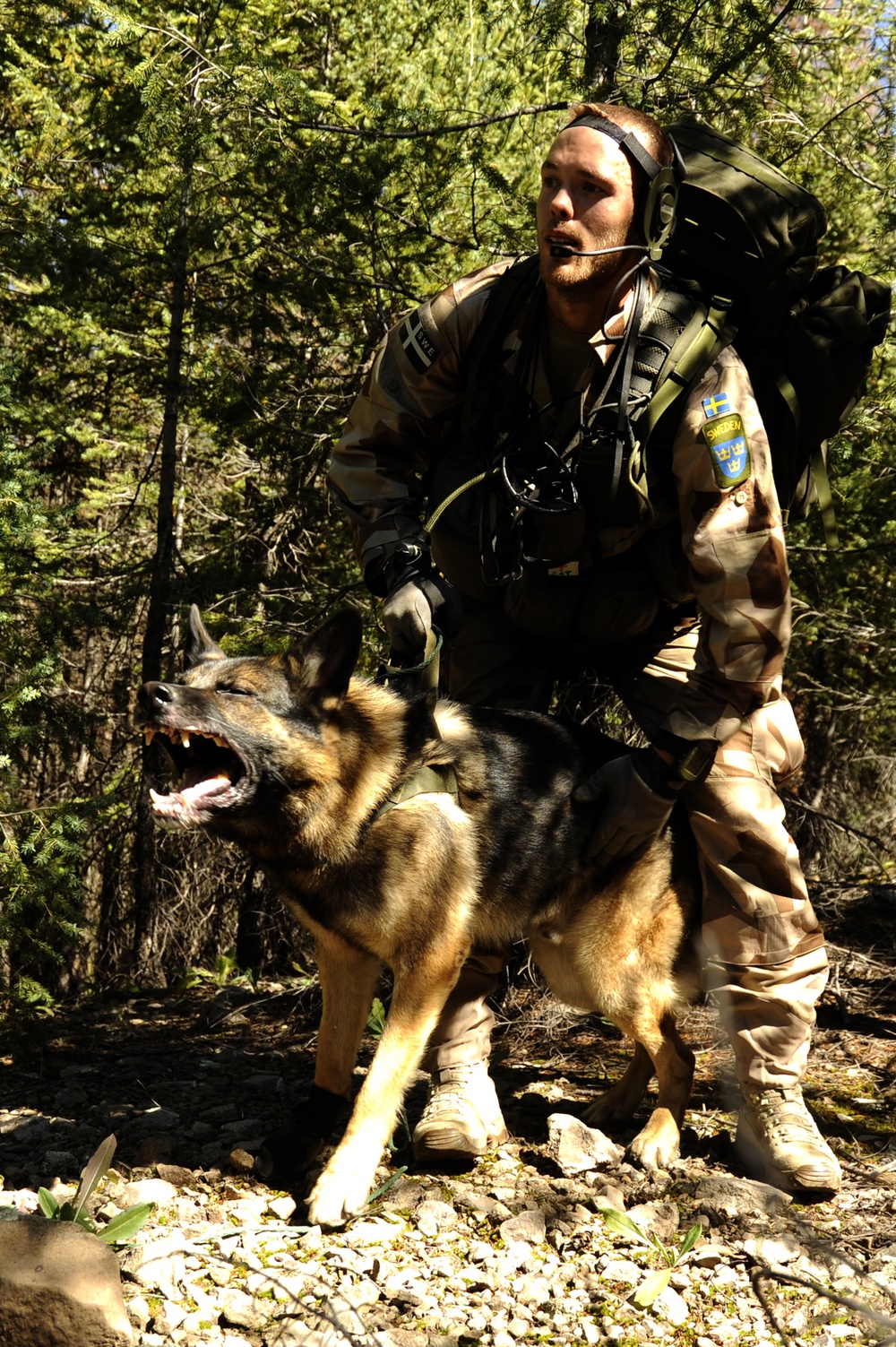 Angel Thunder