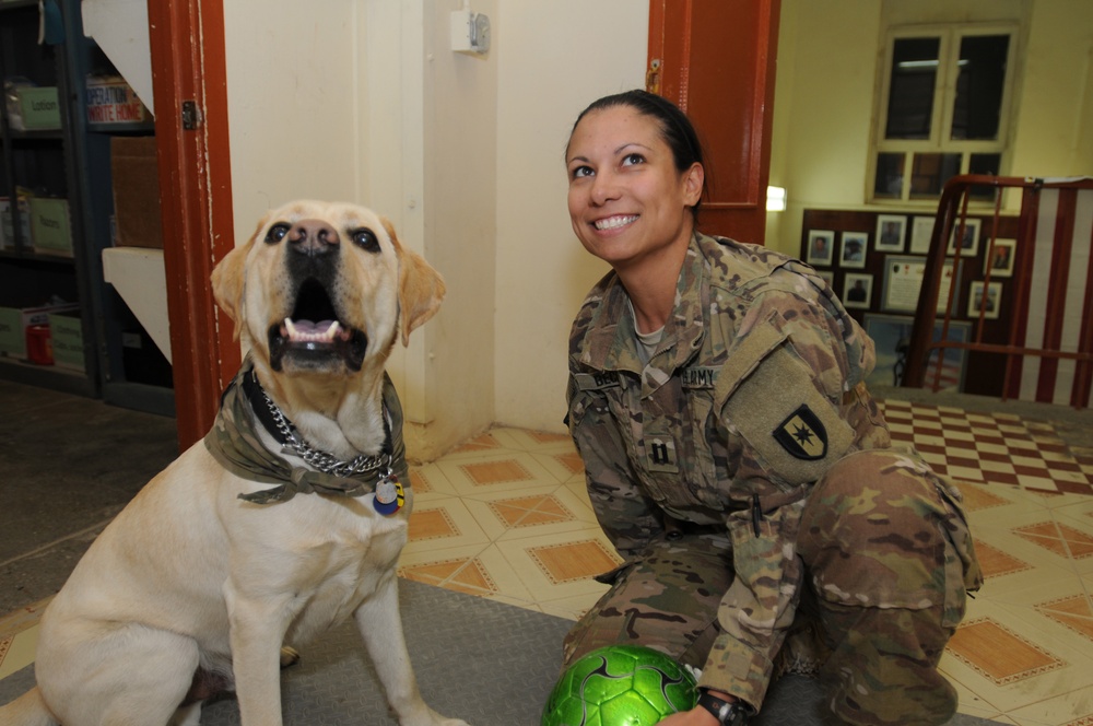 Dog and handler help relieve battle stress for deployed soldiers