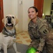 Dog and handler help relieve battle stress for deployed soldiers