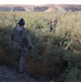 New road and checkpoint in Kandahar