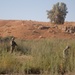 New road and checkpoint in Kandahar