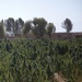 New road and checkpoint in Kandahar