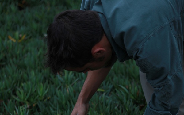 Marines participate in pre-deployment training