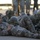 197th Special Troops Company 197th Special Troops Company