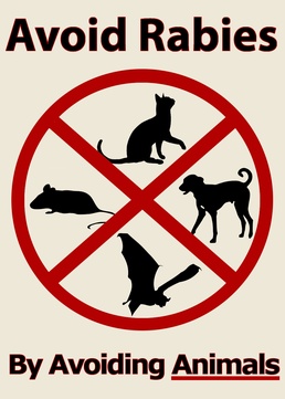 Rabies can be a real threat
