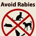 Rabies can be a real threat