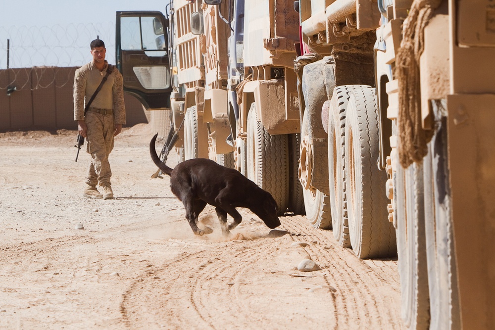 Detection team sharpens skills, protects Marines from IED