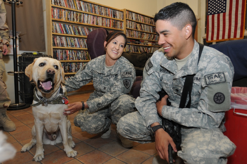 Dog and owner help relieve battle stress for deployed soldiers