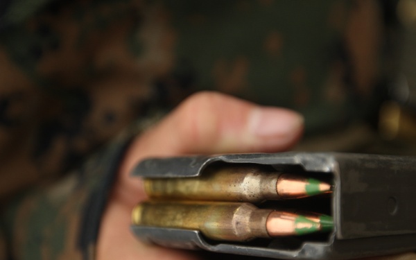 Mike, November Companies learn to shoot straight, true