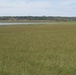 Millet crop at Kaw yielding benefits to lake and local community