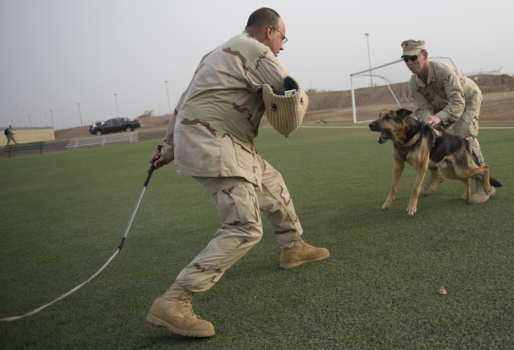 K-9s stand guard in Africa