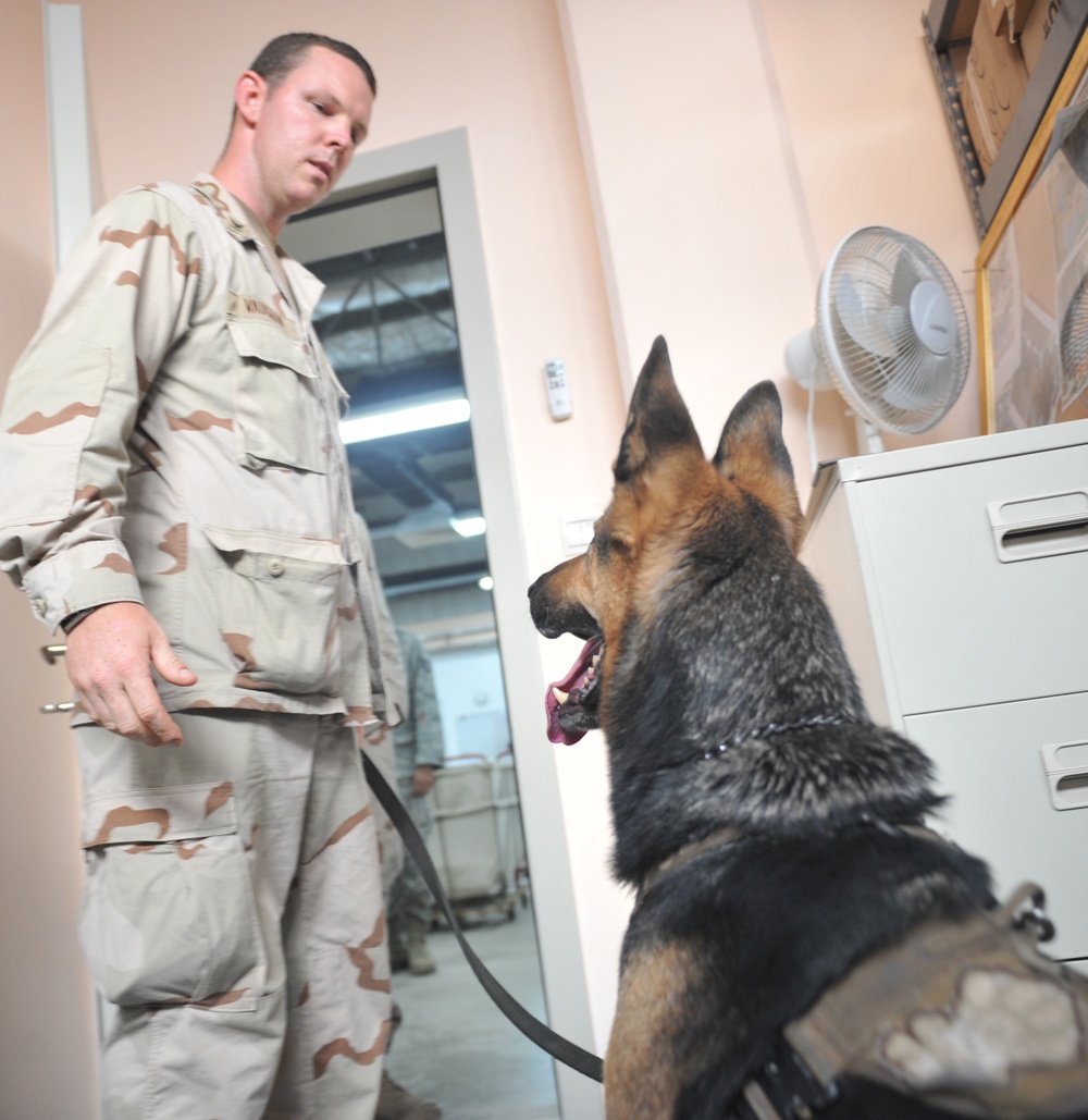 K-9s stand guard in Africa