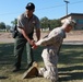 All secured: PMO handcuff training at Miramar