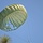 ‘Jumping into the Thick of It:’ Engineers conduct Rough Terrain Airborne Operations