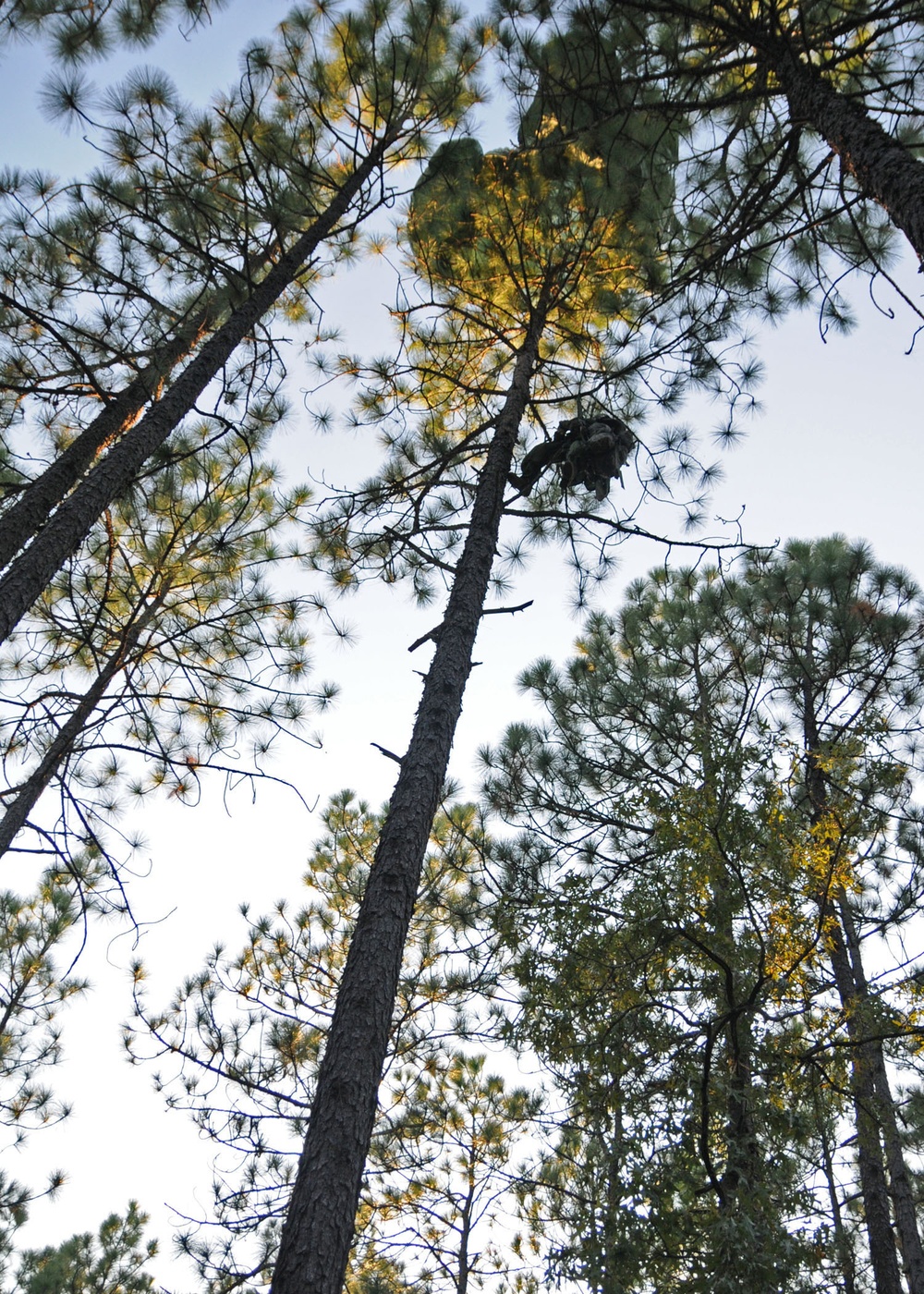 ‘Jumping into the Thick of It:’ Engineers conduct Rough Terrain Airborne Operations