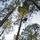 ‘Jumping into the Thick of It:’ Engineers conduct Rough Terrain Airborne Operations