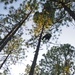 ‘Jumping into the Thick of It:’ Engineers conduct Rough Terrain Airborne Operations
