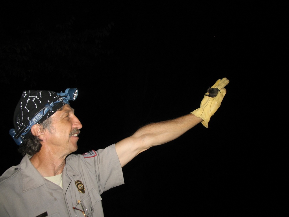 Bat research ongoing in Upper Connecticut River Basin