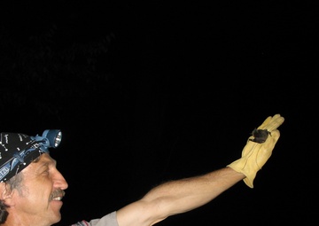 Bat research ongoing in Upper Connecticut River Basin