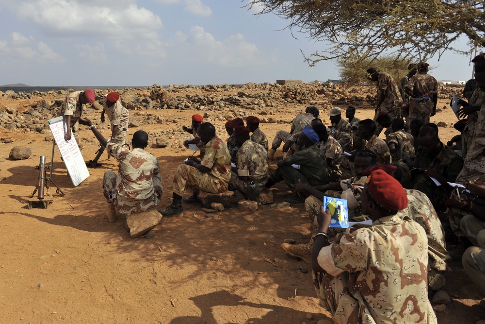 Multinational collaboration on mortar systems