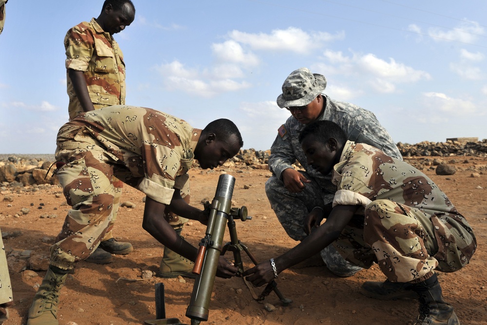 Multinational collaboration on mortar systems