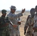 Multinational collaboration on mortar systems