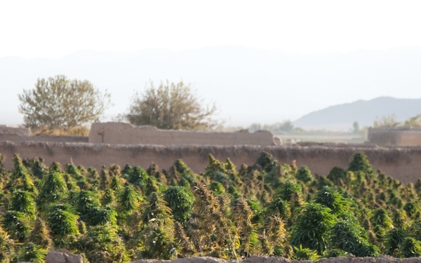 Checkpoint 64 in Kandahar province